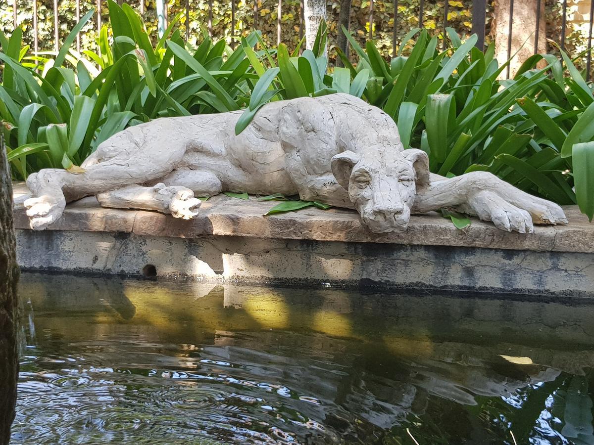 The Sculpture Yard 1 Apartment Pretoria Bagian luar foto